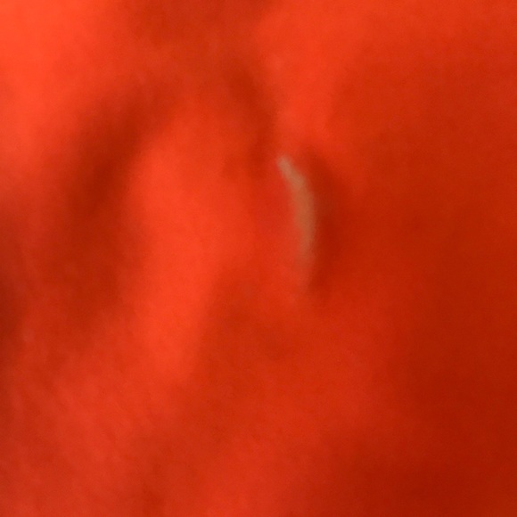 SOLD🌸Clemson orange shorts🌼 - Picture 7 of 7